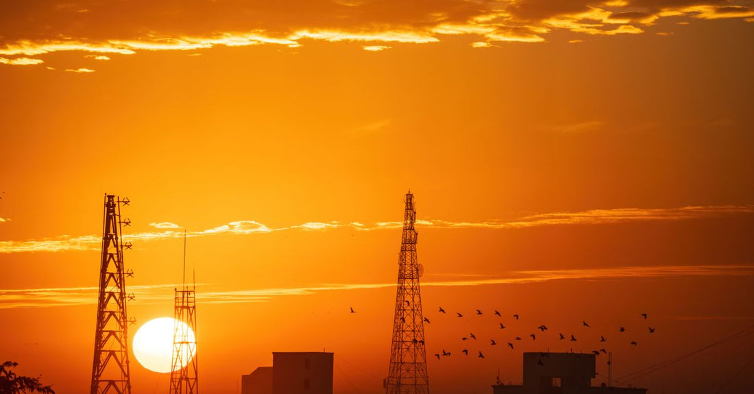 Dramatic sunset with silhouettes of towers and birds, creating a picturesque skyline.